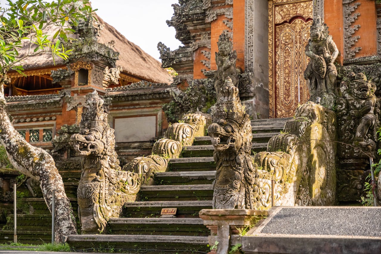 pexels photo 32877838.jpeg