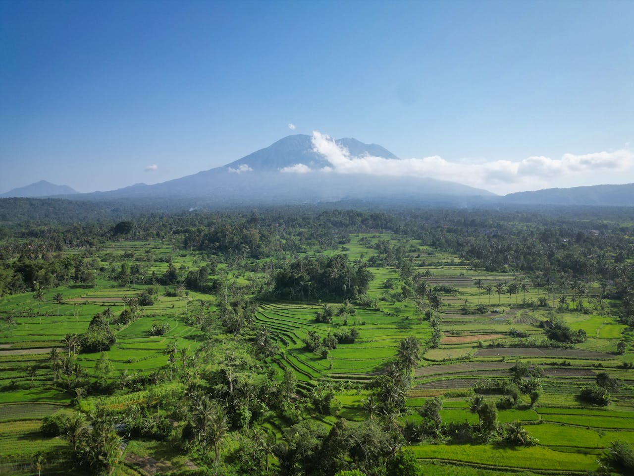 Aerial view of vibrant rice terraces and Mount Agung in Bali, Indonesia under a clear blue sky.