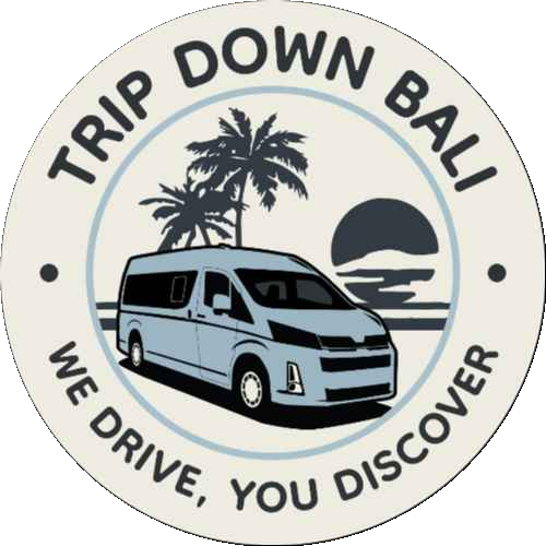 trip down bali rond